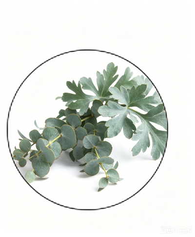 Eucalyptus