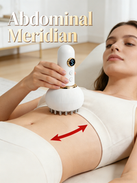 Professional Handheld Massager for Muscle & Lymphatic Support ,Meridian Brush HailiCare Health & Beauty