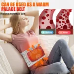 Hailicare LED Massaging Heating Inflatable Decompression Waist Belt